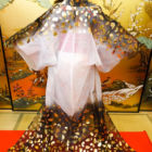 博多人形【桃姫コース】衣装(27)