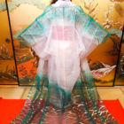 博多人形【桃姫コース】衣装(29)