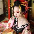 花魁コース かんざし(5)